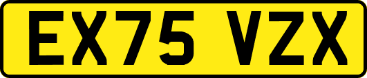 EX75VZX
