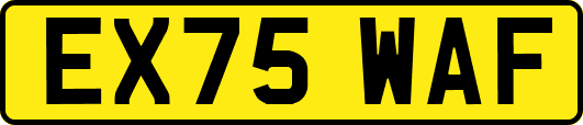 EX75WAF