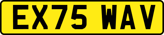 EX75WAV