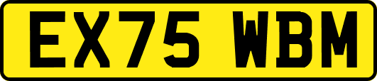 EX75WBM