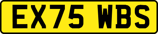 EX75WBS