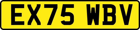 EX75WBV
