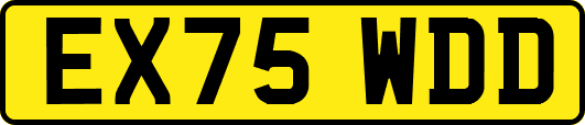 EX75WDD