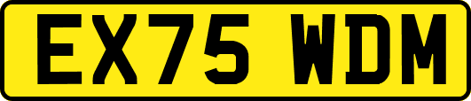 EX75WDM