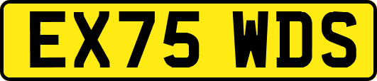 EX75WDS
