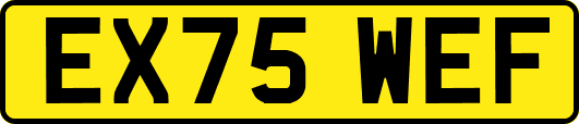 EX75WEF
