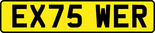 EX75WER