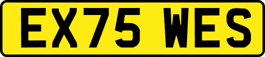 EX75WES