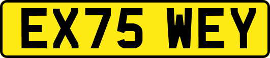 EX75WEY