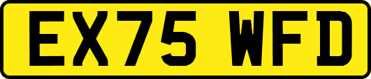 EX75WFD