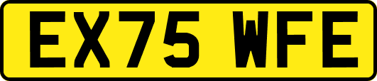 EX75WFE