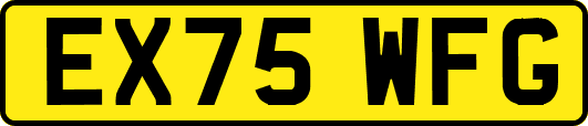 EX75WFG