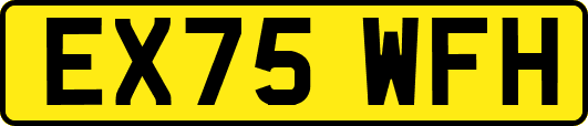 EX75WFH