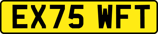EX75WFT