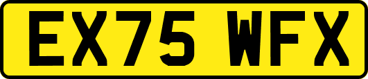 EX75WFX