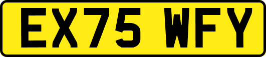 EX75WFY