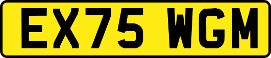 EX75WGM