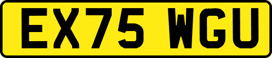 EX75WGU