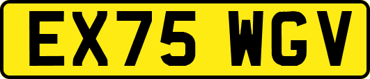 EX75WGV