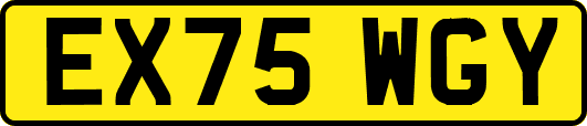 EX75WGY