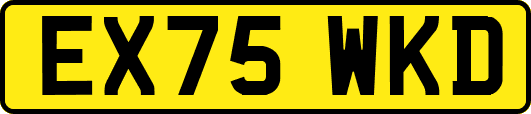 EX75WKD