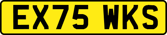 EX75WKS