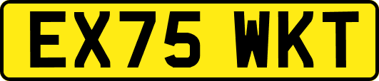 EX75WKT