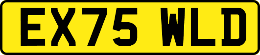 EX75WLD