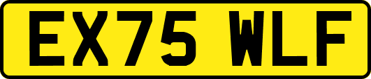 EX75WLF