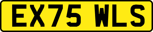 EX75WLS