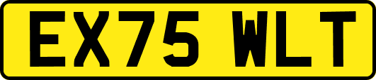 EX75WLT