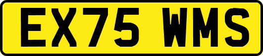 EX75WMS
