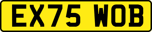 EX75WOB