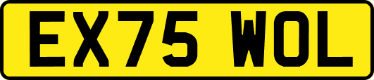 EX75WOL