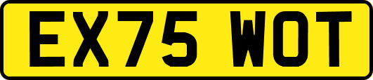 EX75WOT
