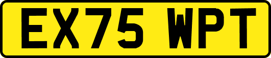 EX75WPT