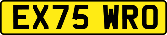 EX75WRO