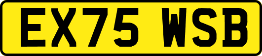 EX75WSB