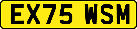 EX75WSM