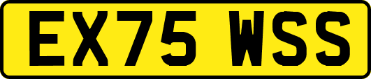 EX75WSS