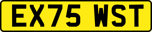 EX75WST