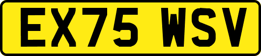 EX75WSV