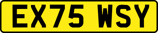 EX75WSY