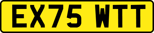 EX75WTT