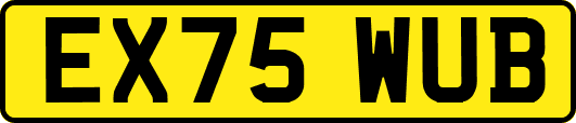 EX75WUB