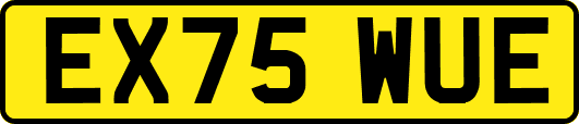 EX75WUE