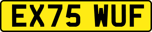 EX75WUF