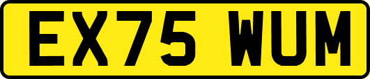 EX75WUM