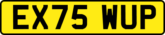 EX75WUP