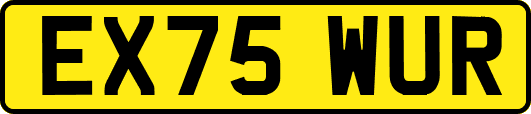 EX75WUR